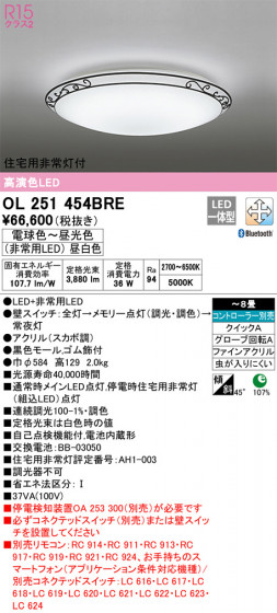 ñʲ | ODELIC ǥå 󥰥饤 OL251454BRE | LEDη¡ʰ Ҹ