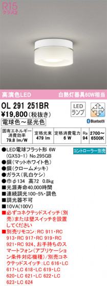 ñʲ | ODELIC ǥå 󥰥饤 OL291251BR | LEDη¡ʰ Ҹ