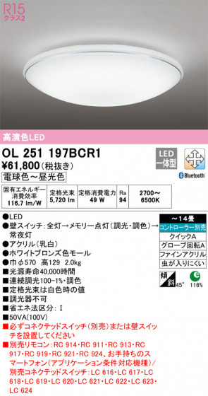 ñʲ | ODELIC ǥå 󥰥饤 OL251197BCR1 | LEDη¡ʰ Ҹ