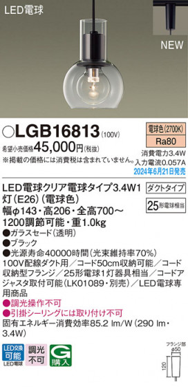 Panasonic ڥȥ饤 LGB16813 ᥤ̿