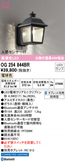 ODELIC ǥå ƥꥢ饤 OG254844BR ᥤ̿