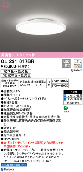 ODELIC ǥå 󥰥饤 OL291617BR ᥤ̿