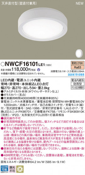 Panasonic 󥰥饤 NWCF16101LE1 ᥤ̿