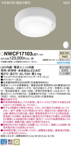 Panasonic 󥰥饤 NWCF17103LE1 ᥤ̿
