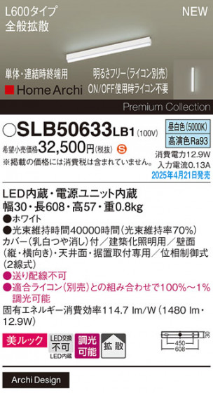 Panasonic ۲ SLB50633LB1 ᥤ̿