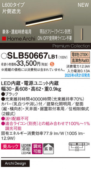 Panasonic ۲ SLB50667LB1 ᥤ̿