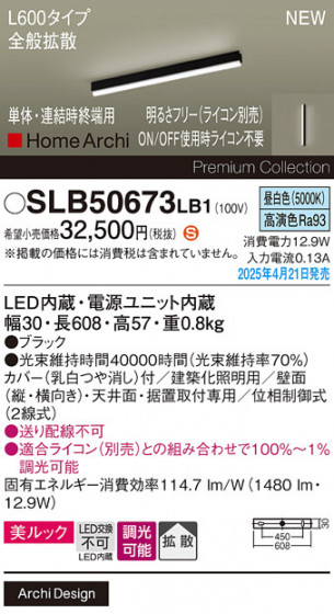 Panasonic ۲ SLB50673LB1 ᥤ̿