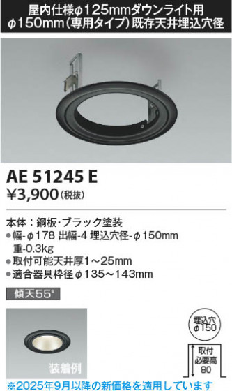 β Koizumi ߾ ˥塼ץ졼 AE51245E