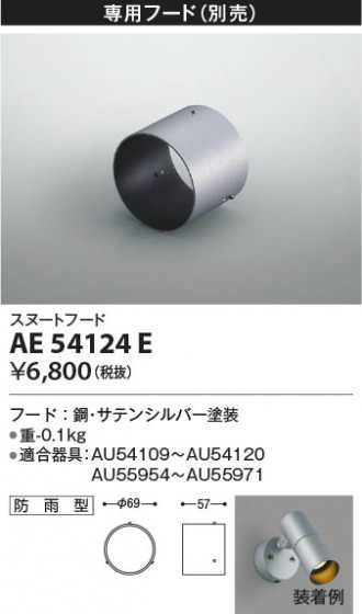 β Koizumi ߾ ա AE54124E