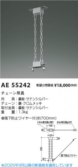 β Koizumi ߾ ߶ AE55242