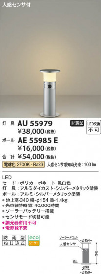 β Koizumi ߾ ݡ AE55985E