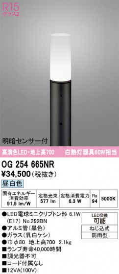 ODELIC ǥå ƥꥢ饤 OG254665NR ᥤ̿
