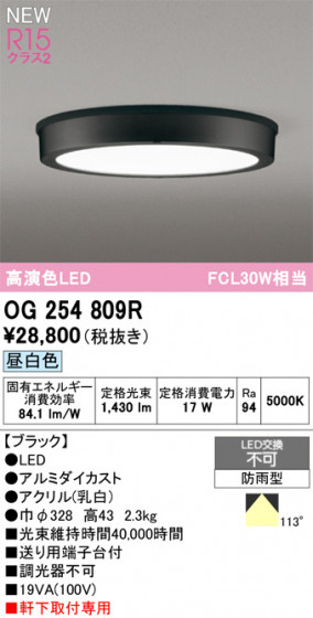 ODELIC ǥå ƥꥢ饤 OG254809R ᥤ̿