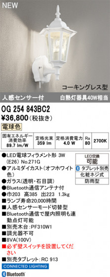 ODELIC ǥå ƥꥢ饤 OG254843BC2 ᥤ̿