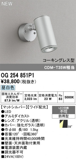 ODELIC ǥå ƥꥢ饤 OG254851P1 ᥤ̿