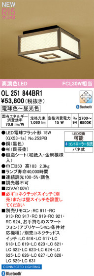 ODELIC ǥå 󥰥饤 OL251844BR1 ᥤ̿