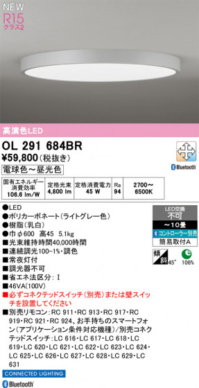 ODELIC ǥå 󥰥饤 OL291684BR ᥤ̿