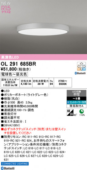 ODELIC ǥå 󥰥饤 OL291685BR ᥤ̿