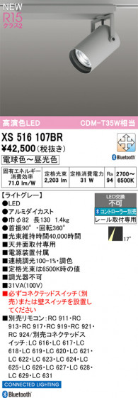 ODELIC ǥå ݥåȥ饤 XS516107BR ᥤ̿