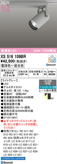 ODELIC ǥå ݥåȥ饤 XS516109BR ᥤ̿