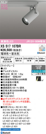 ODELIC ǥå ݥåȥ饤 XS517107BR ᥤ̿