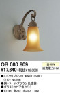 ODELIC OB080809