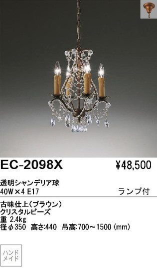 ƣ ENDO ǥꥢ EC-2098X