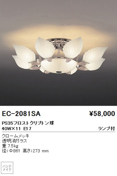 ƣ ENDO ǥꥢ EC-2081SA