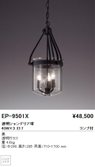 ƣ ENDO ڥ EP-9501X