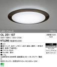 ODELIC ǥå LED 󥰥饤 OL251107