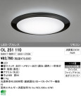 ODELIC ǥå LED 󥰥饤 OL251110