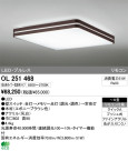 ODELIC ǥå LED 󥰥饤 OL251468