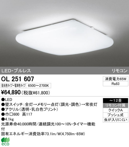 ODELIC ǥå LED 󥰥饤 OL251607 ᥤ̿