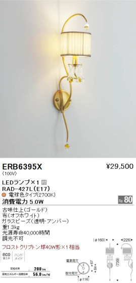 ƣ ENDO LED ֥饱å ERB6395X ᥤ̿