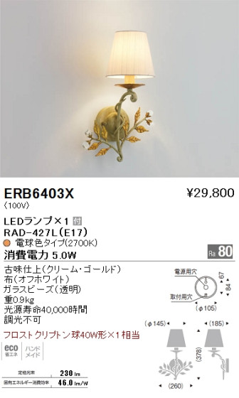 ƣ ENDO LED ֥饱å ERB6403X ᥤ̿