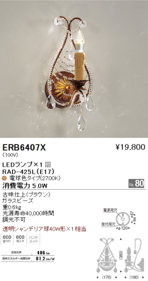 ƣ ENDO LED ֥饱å ERB6407X ᥤ̿