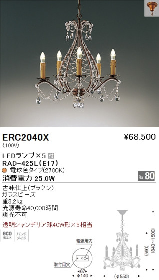 ƣ ENDO LED ǥꥢ ERC2040X ᥤ̿