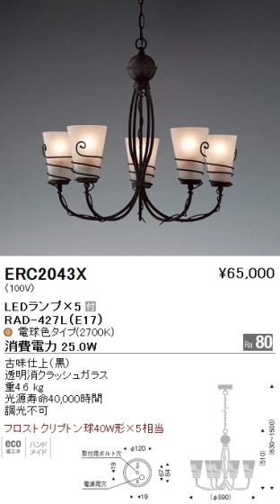ƣ ENDO LED ǥꥢ ERC2043X ᥤ̿