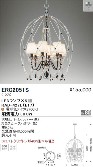 ƣ ENDO LED ǥꥢ ERC2051S ᥤ̿