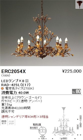 ƣ ENDO LED ǥꥢ ERC2054X ᥤ̿