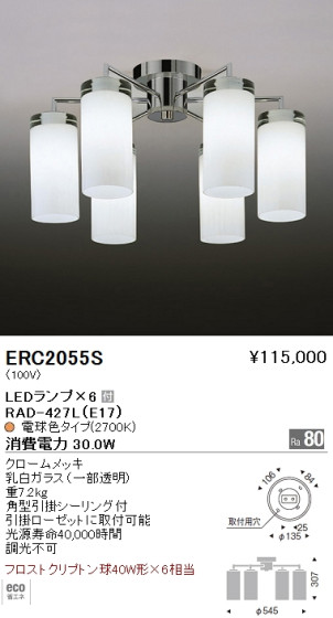 ƣ ENDO LED ǥꥢ ERC2055S ᥤ̿