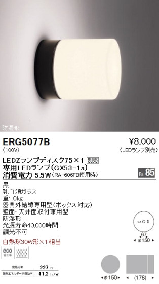 ƣ ENDO LED Х饤 ERG5077B ᥤ̿