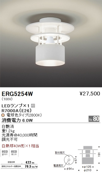 ƣ ENDO LED  ERG5254W ᥤ̿