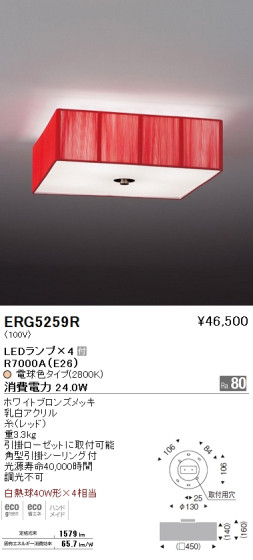 ƣ ENDO LED  ERG5259R ᥤ̿
