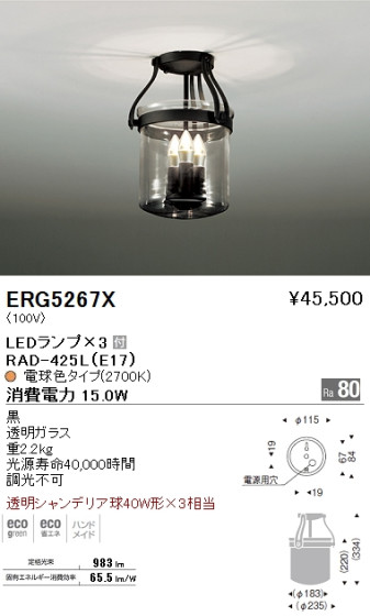ƣ ENDO LED  ERG5267X ᥤ̿