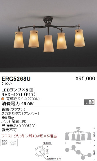 ƣ ENDO LED  ERG5268U ᥤ̿