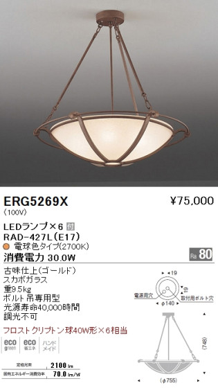 ƣ ENDO LED  ERG5269X ᥤ̿
