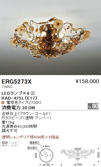 ƣ ENDO LED  ERG5273X ᥤ̿