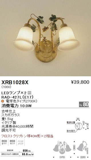 ƣ ENDO LED ֥饱å XRB1028X ᥤ̿