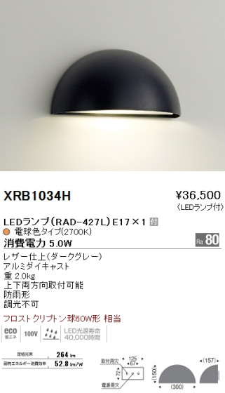 ƣ ENDO LED ȥɥ XRB1034H ᥤ̿